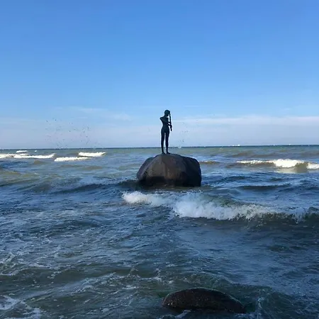 Zum Suedstrand 아파트 *